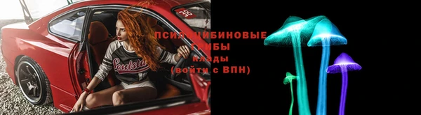 ГАЛЛЮЦИНОГЕННЫЕ ГРИБЫ Белоозёрский