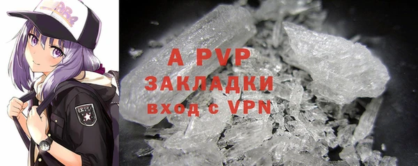 ГАЛЛЮЦИНОГЕННЫЕ ГРИБЫ Белоозёрский