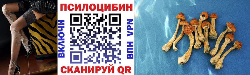 Псилоцибиновые грибы Cubensis  hydra как зайти  Кондрово 
