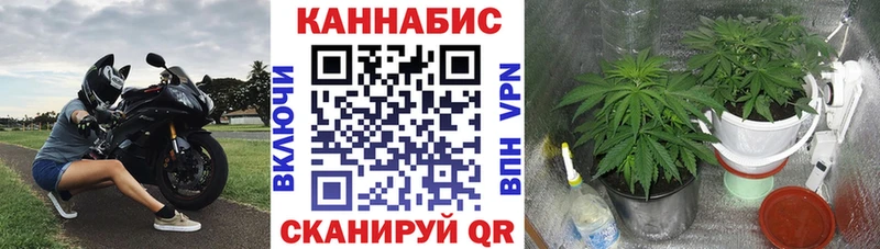 кракен ссылки  Кондрово  Шишки марихуана Ganja  даркнет сайт 